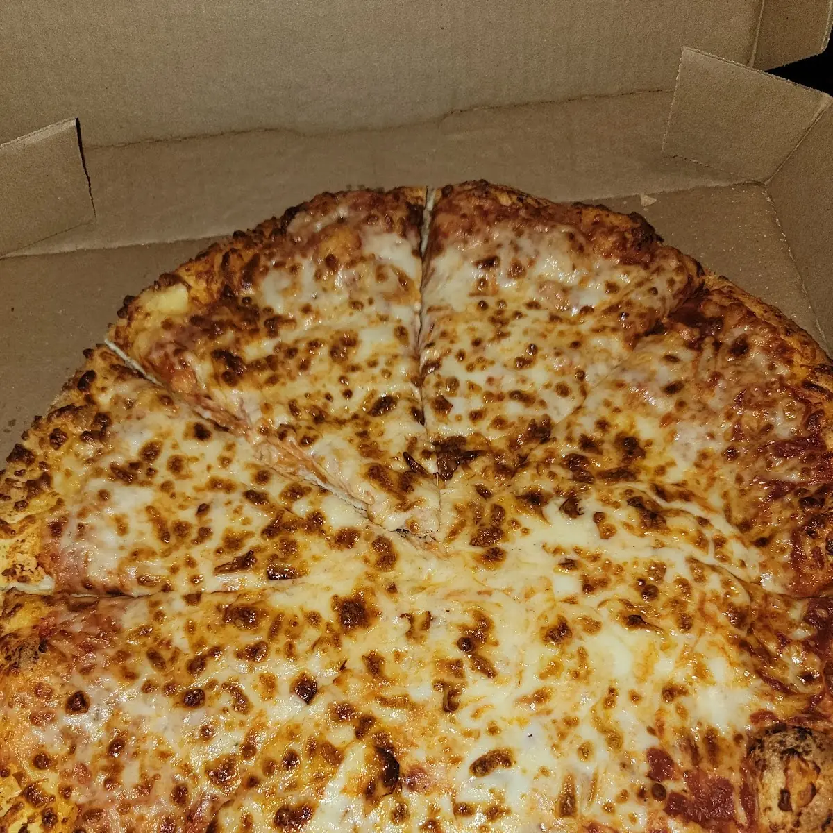 Extra Cheese Pizza