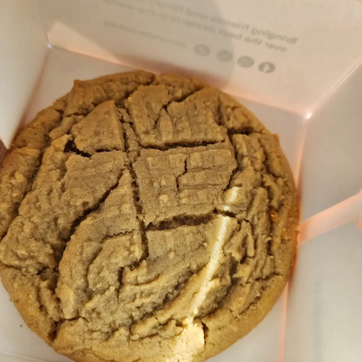 Peanut Butter Cookie