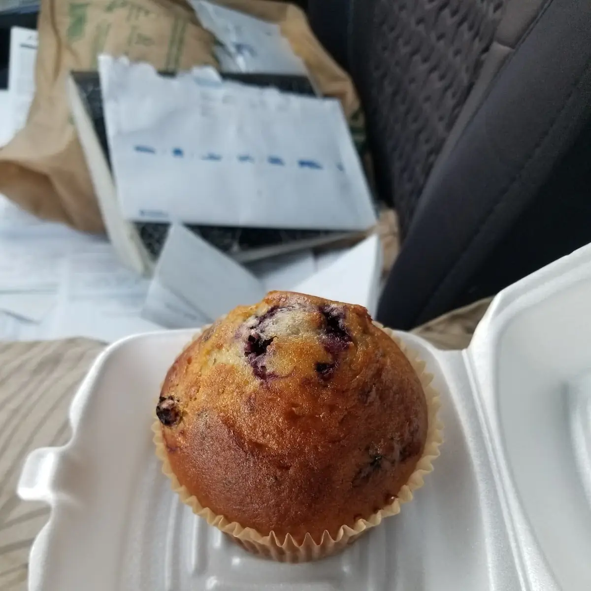Blueberry Muffin