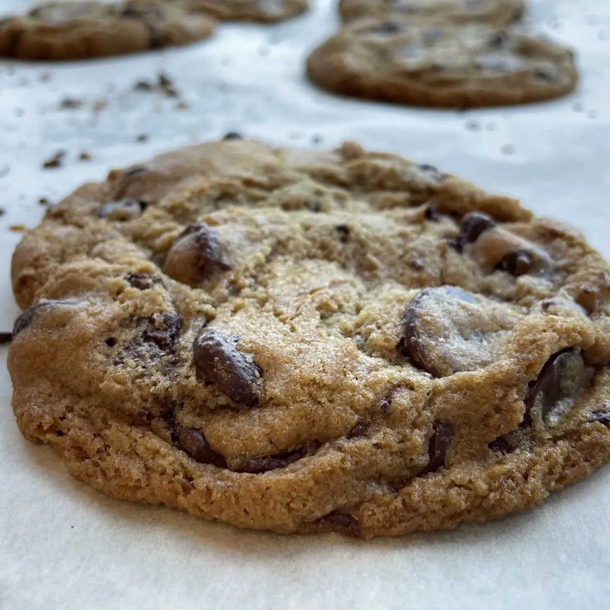 Chocolate Chip Cookie