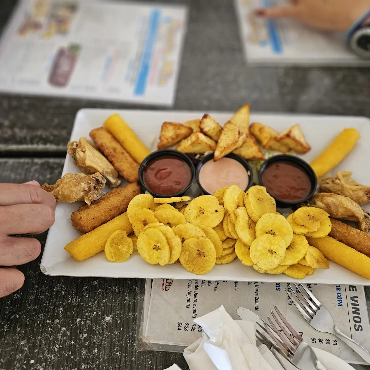 Sampler Platter Mozzarella Sticks Fried White Cheese Chicken Wings Fried Plantain Chips Etc