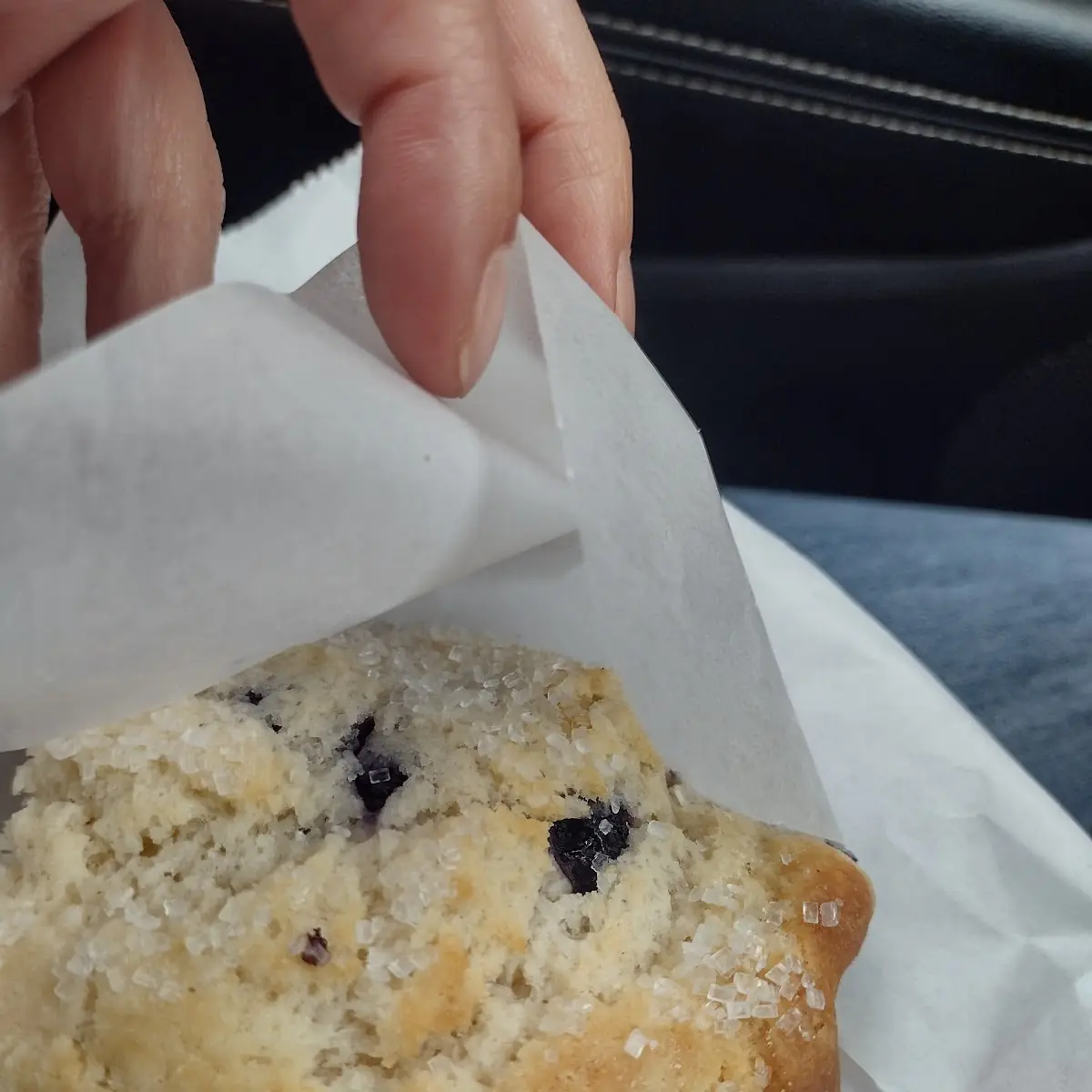 Blueberry Muffin
