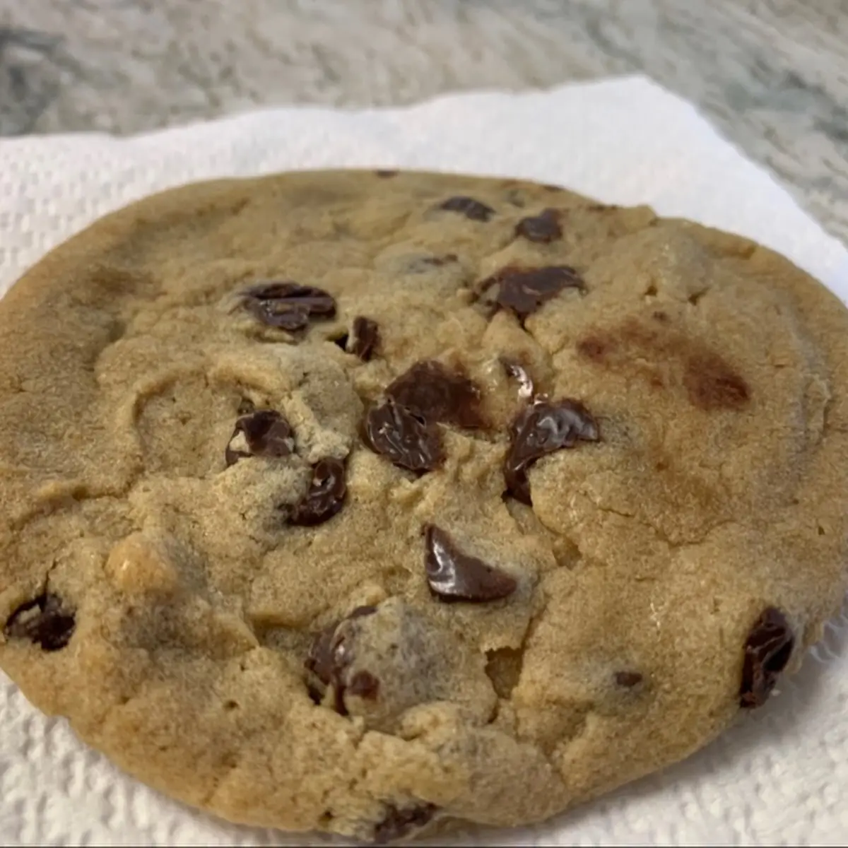 Homemade Chocolate Chip Cookie