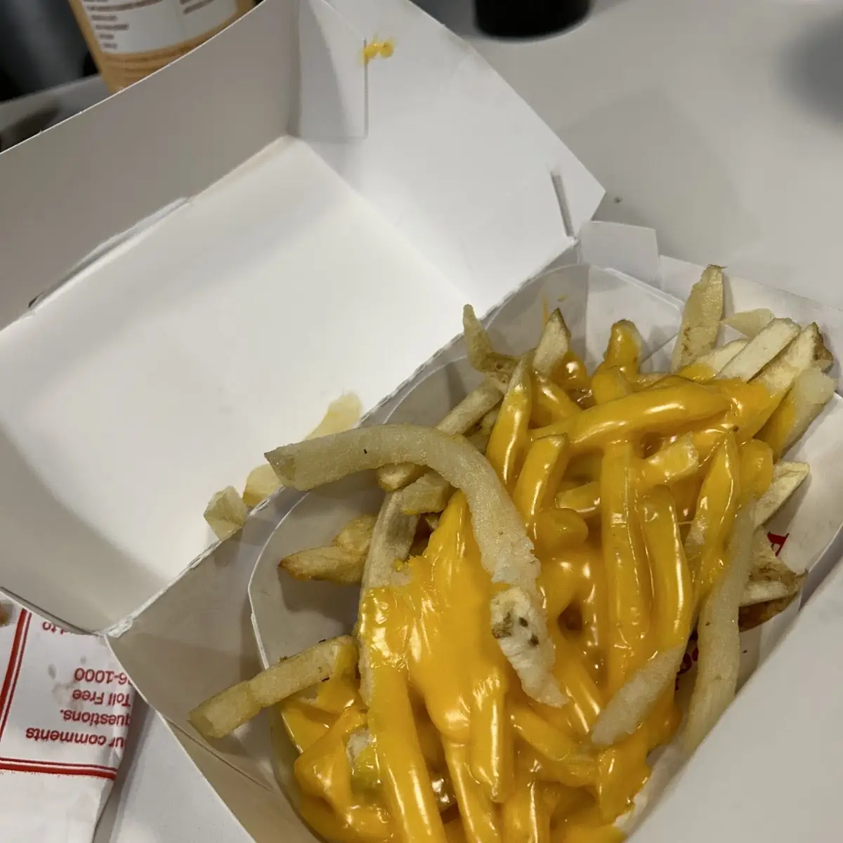 Cheese Fries