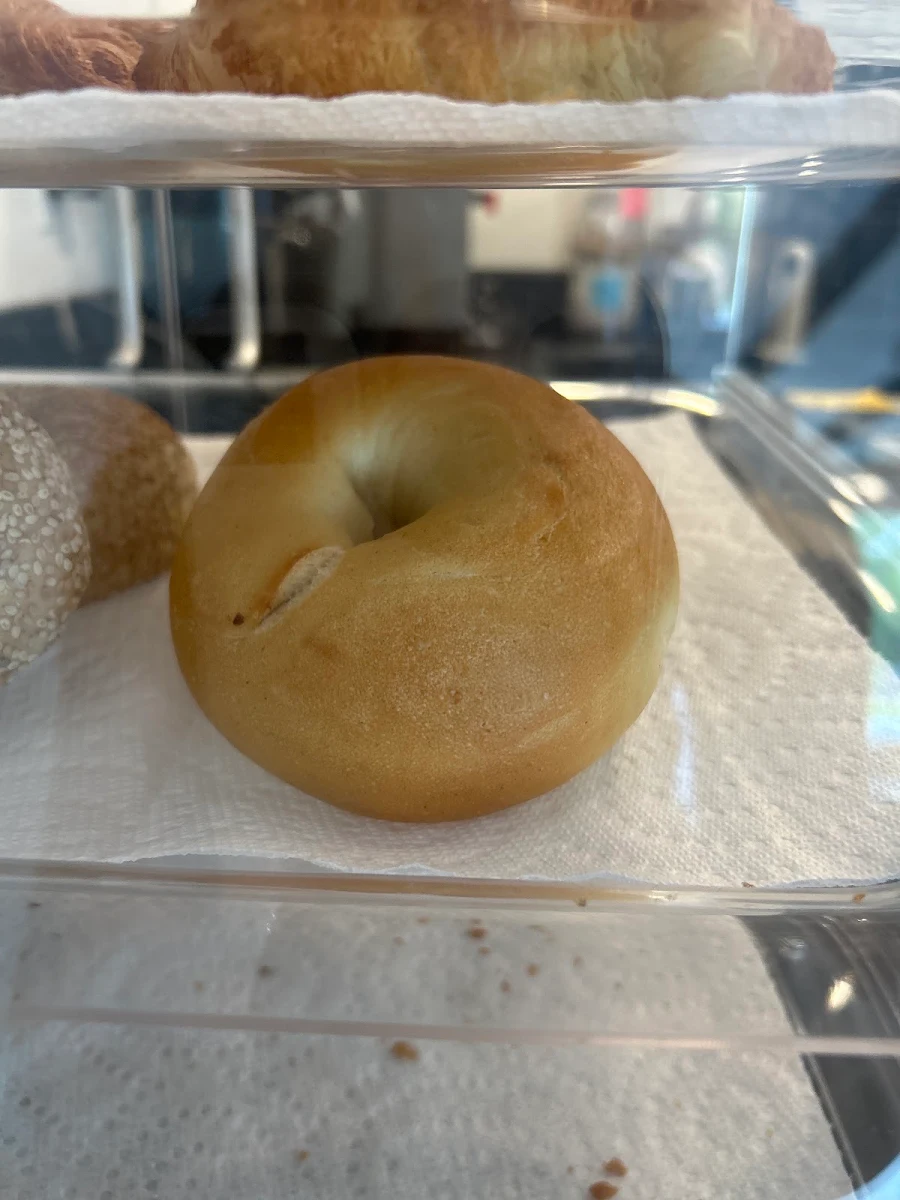 Plain Bagel