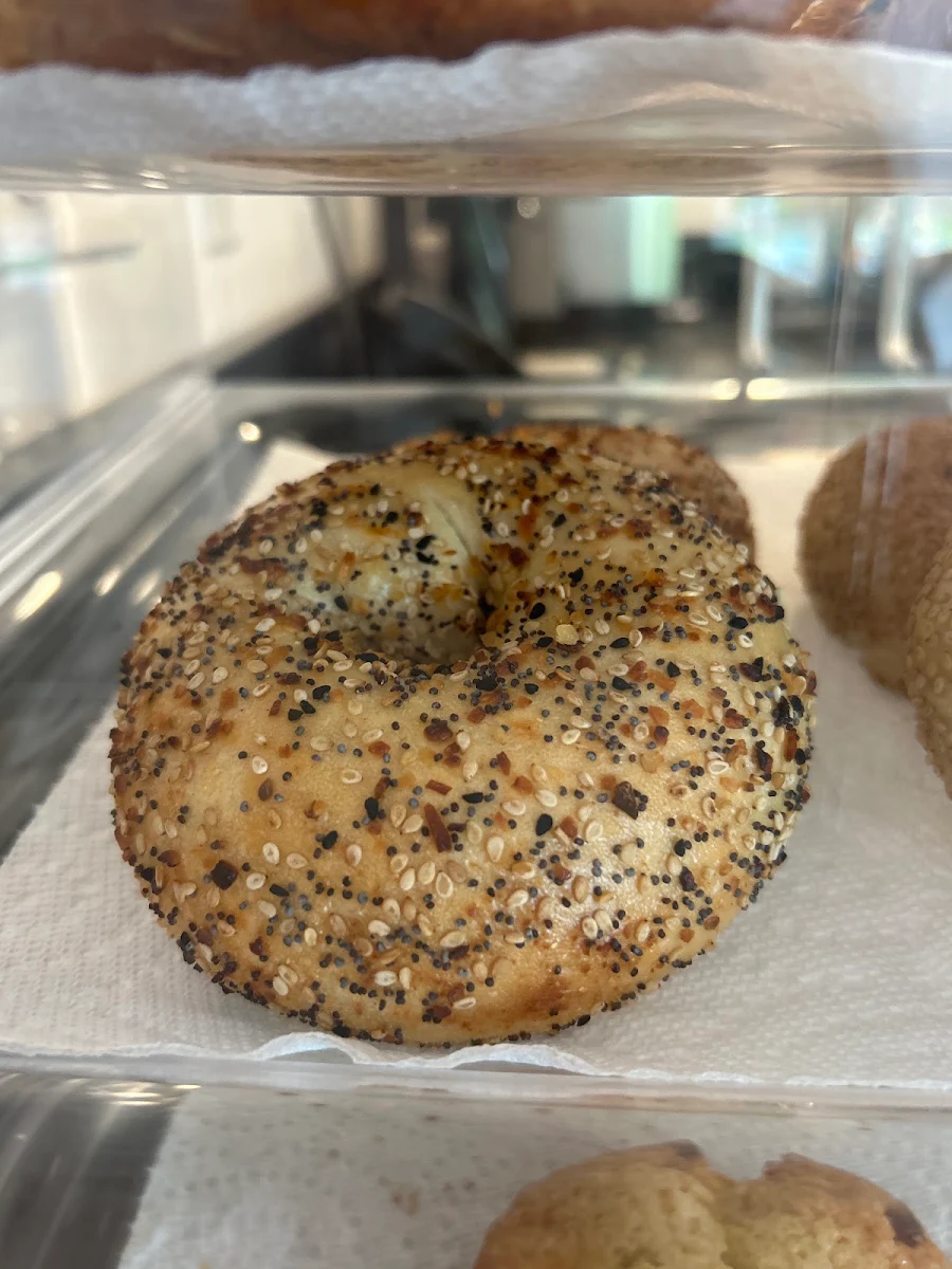 Sesame Bagel