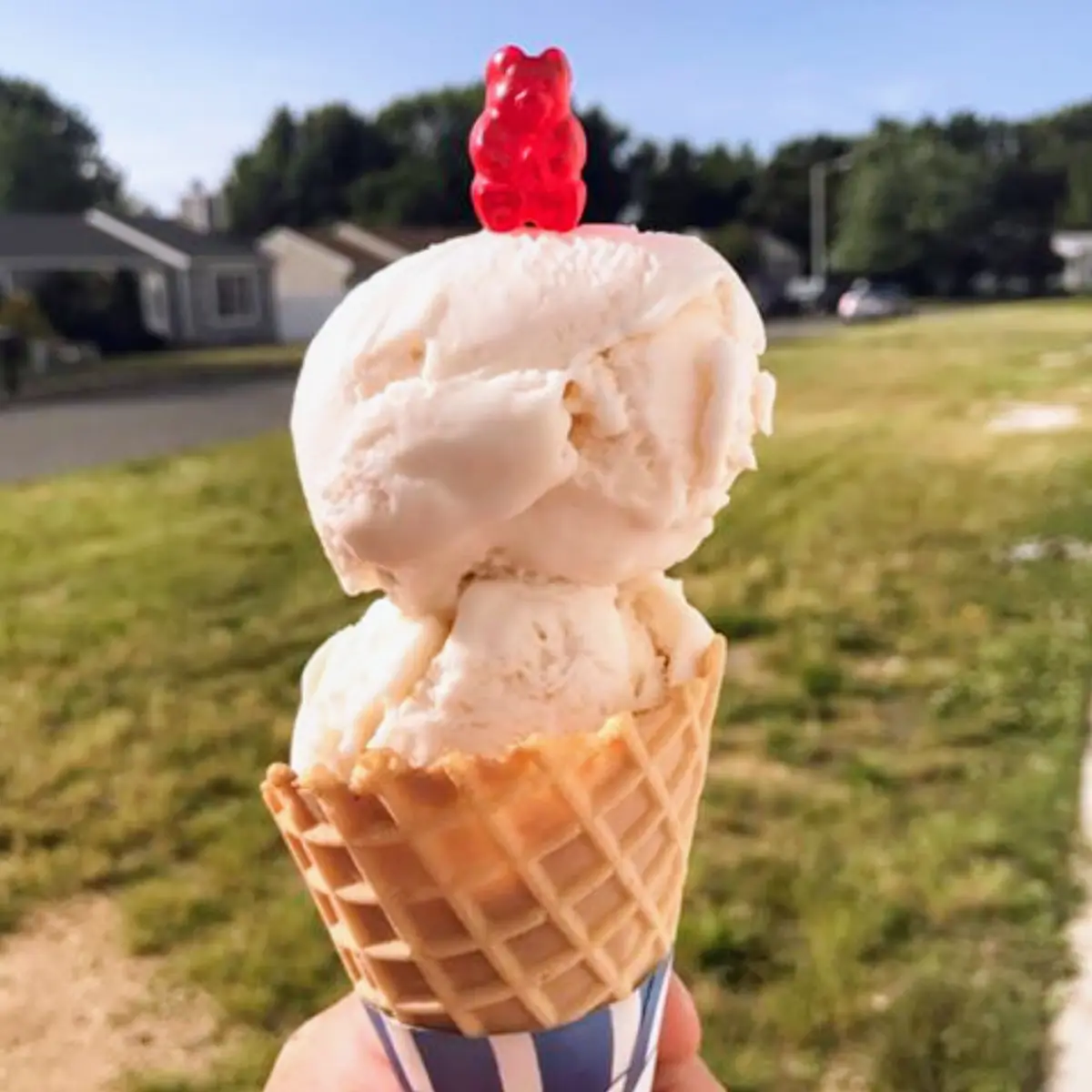 Dairy Free Vanilla Ice Cream