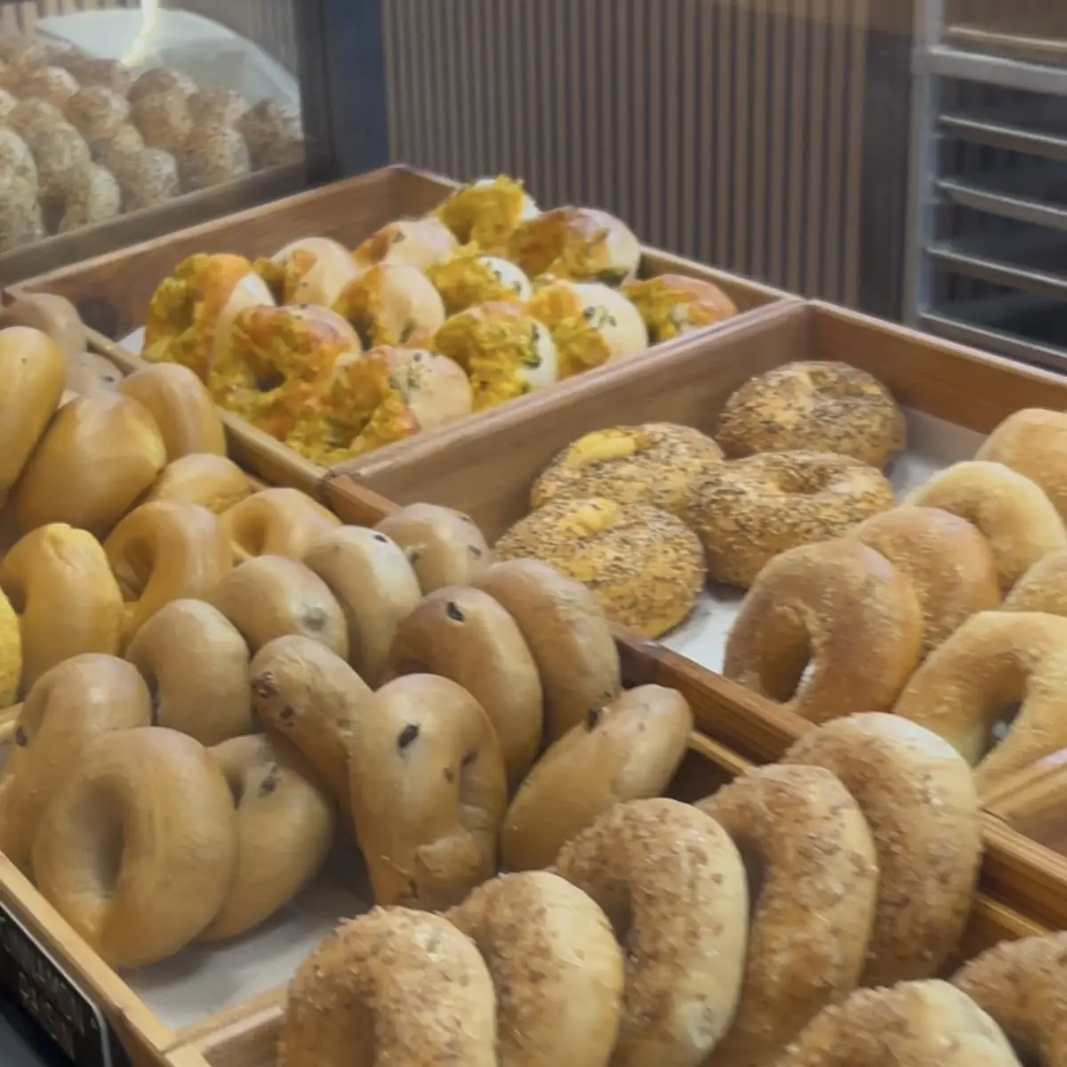 Dozen Bagels
