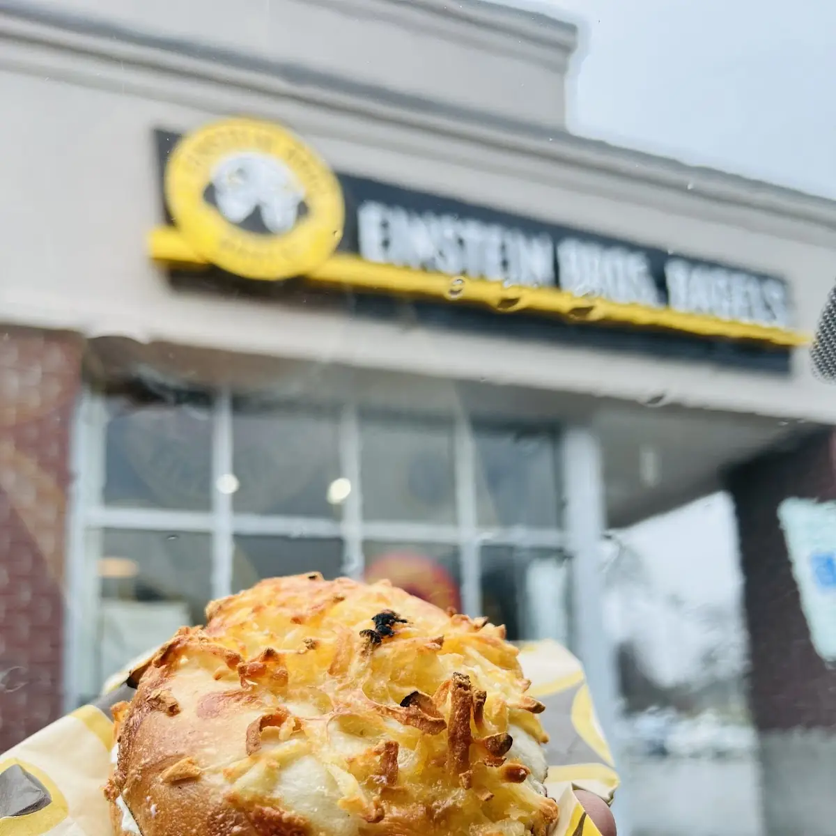 Cheese Bagel with Cream Shimer