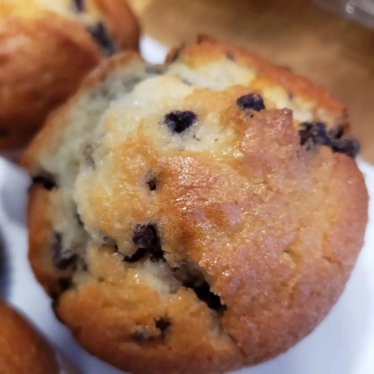 Blueberry Muffin