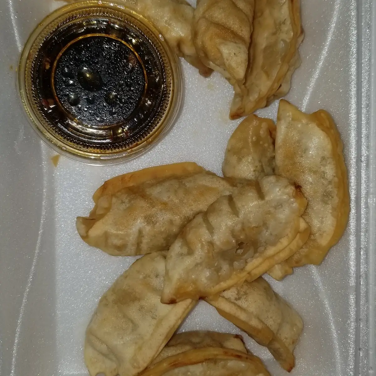 Fried Dumplings 8