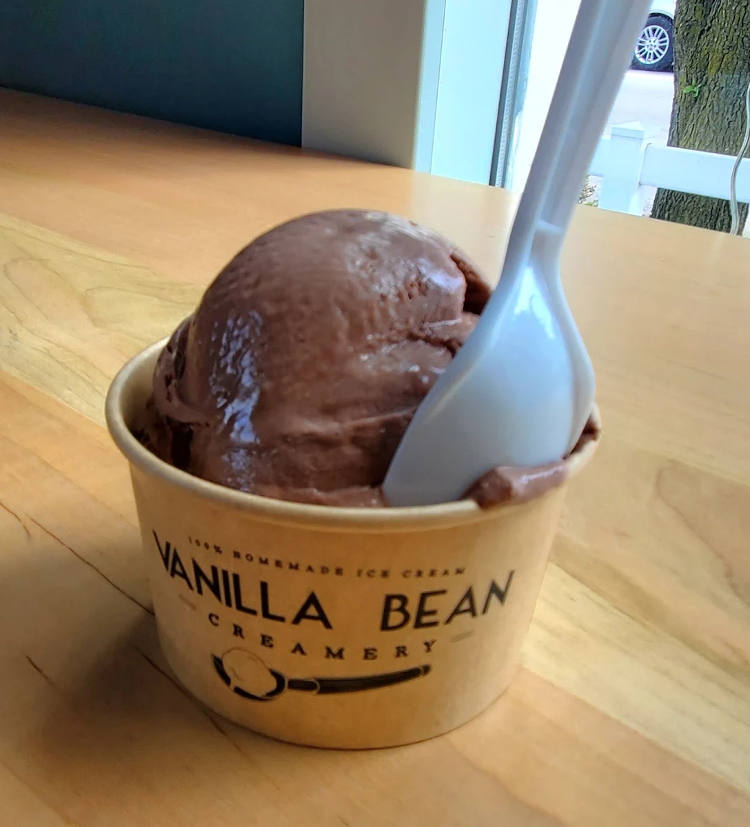 Chocolate Ice Cream in a Cup