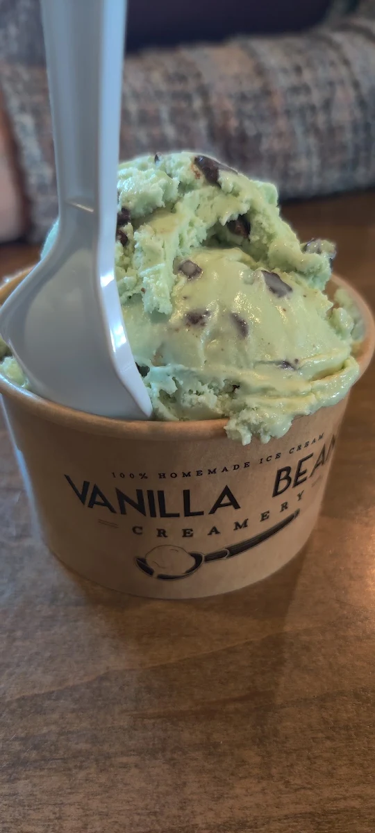 Mint Chocolate Chip Ice Cream