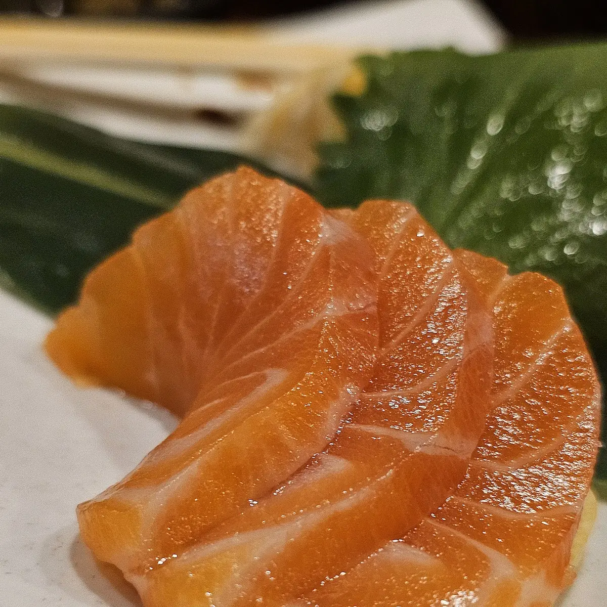 Salmon Sashimi
