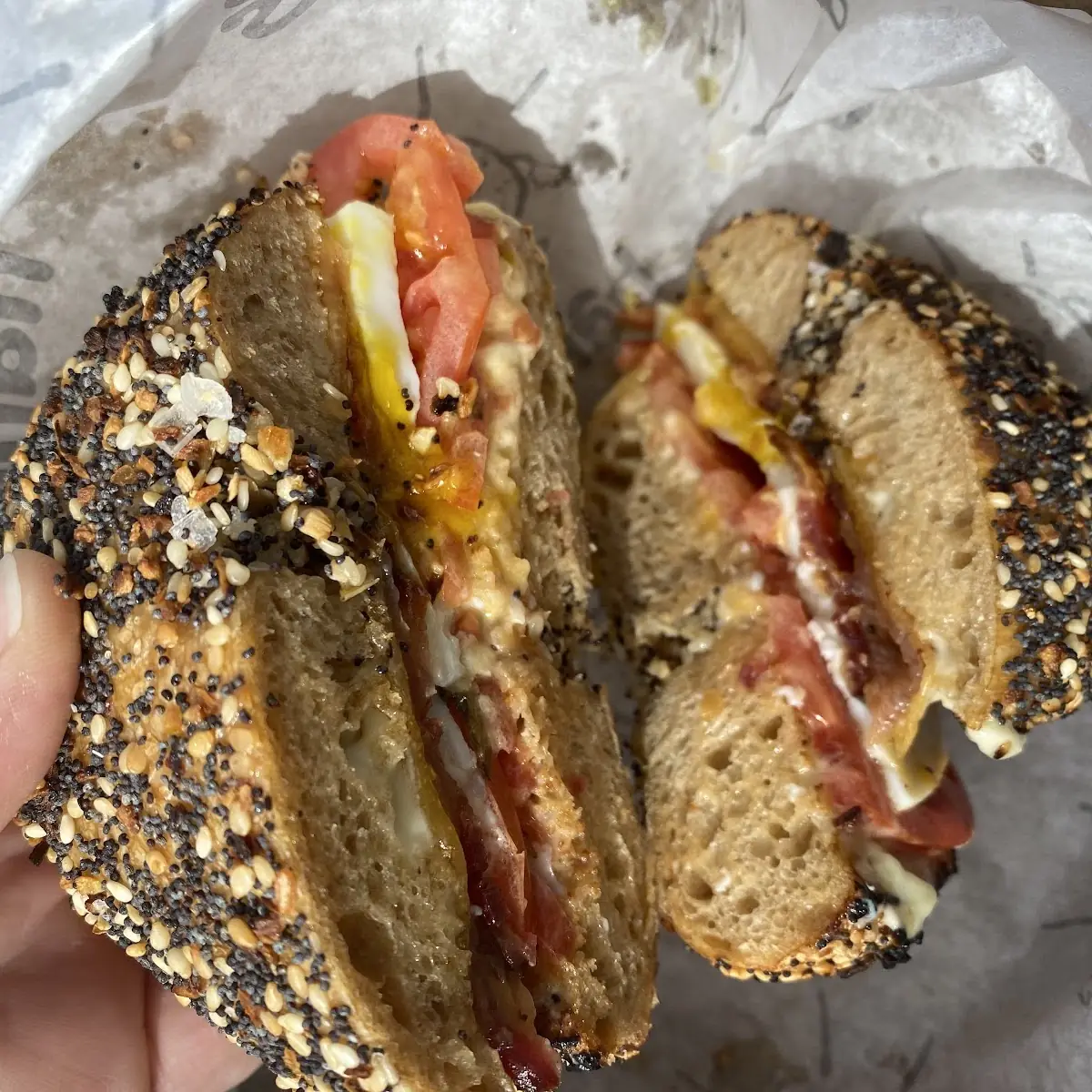 Everything Bagel