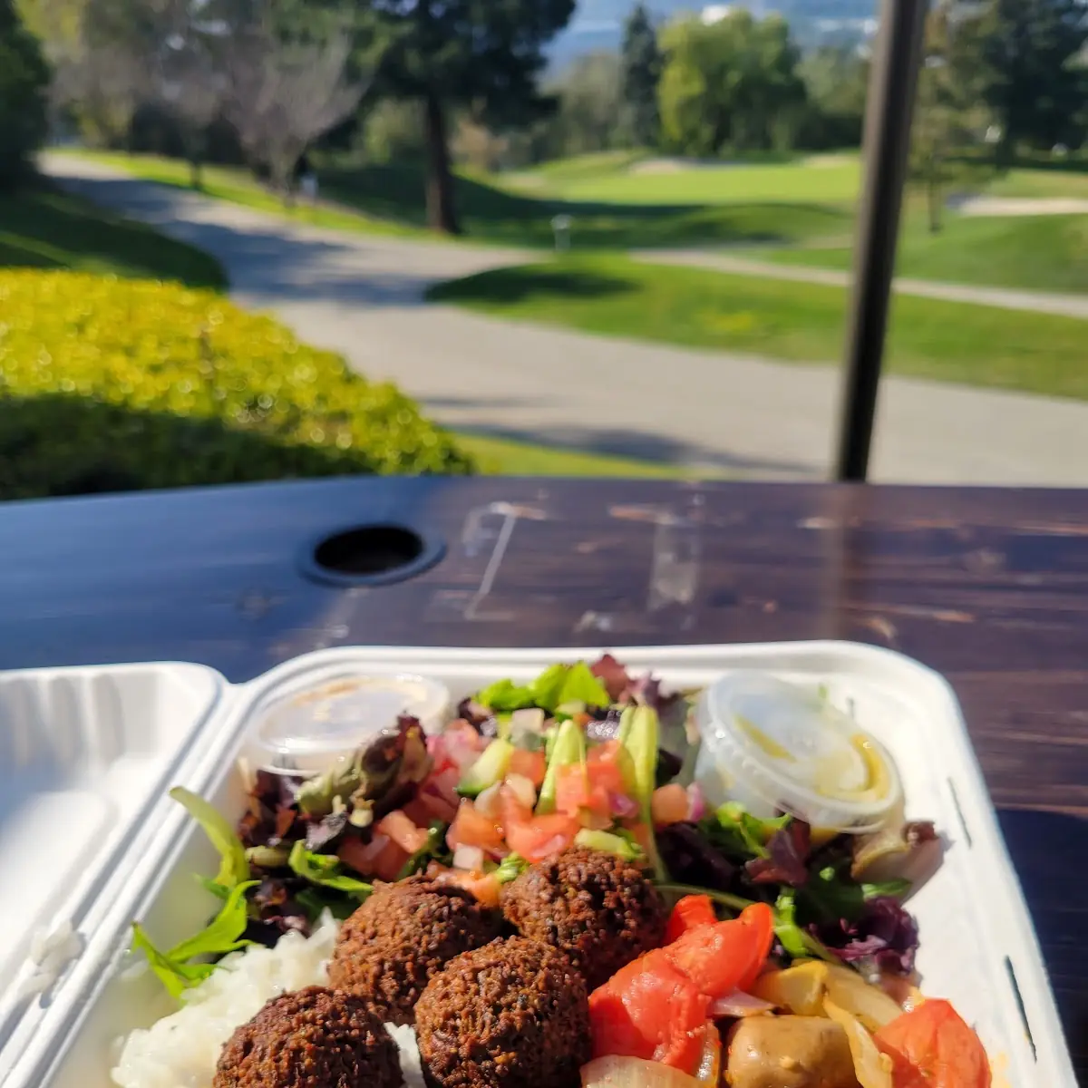 Falafel Plate