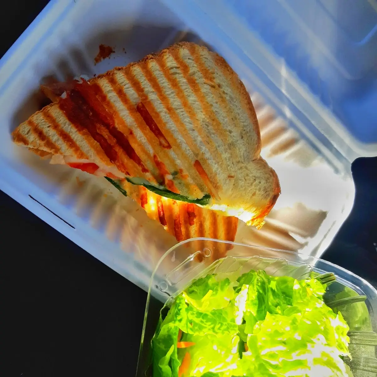 Chicken Panini