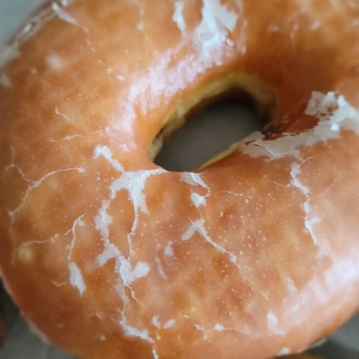 Giant Donut