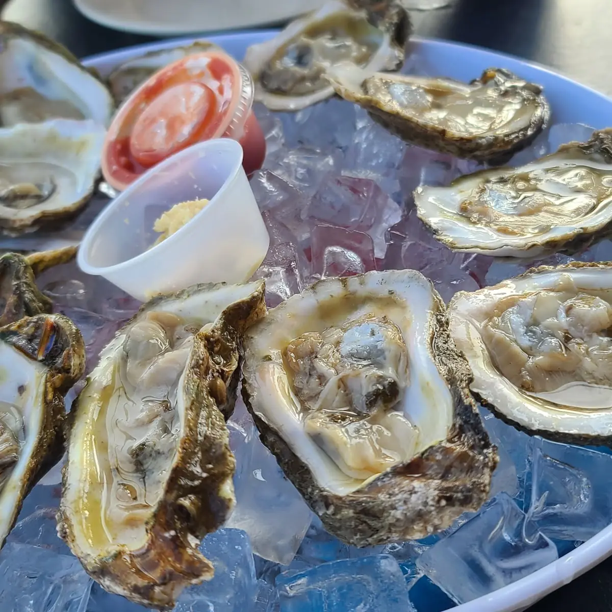 Raw Oysters