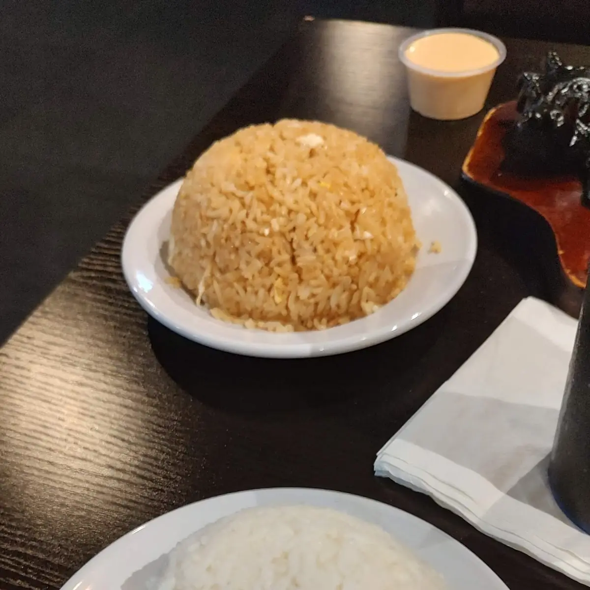 White and Fried Rice