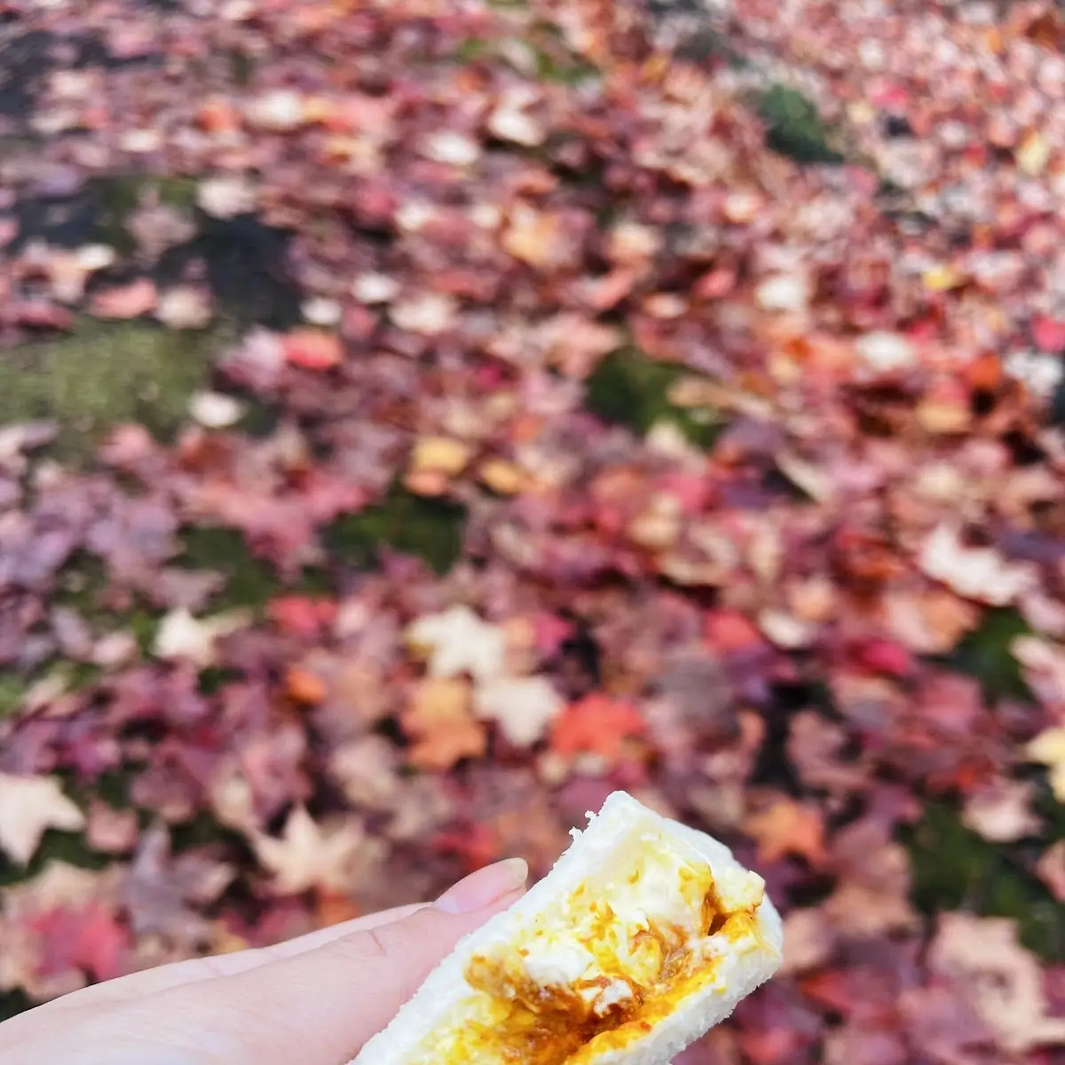 Spicy Egg Salad