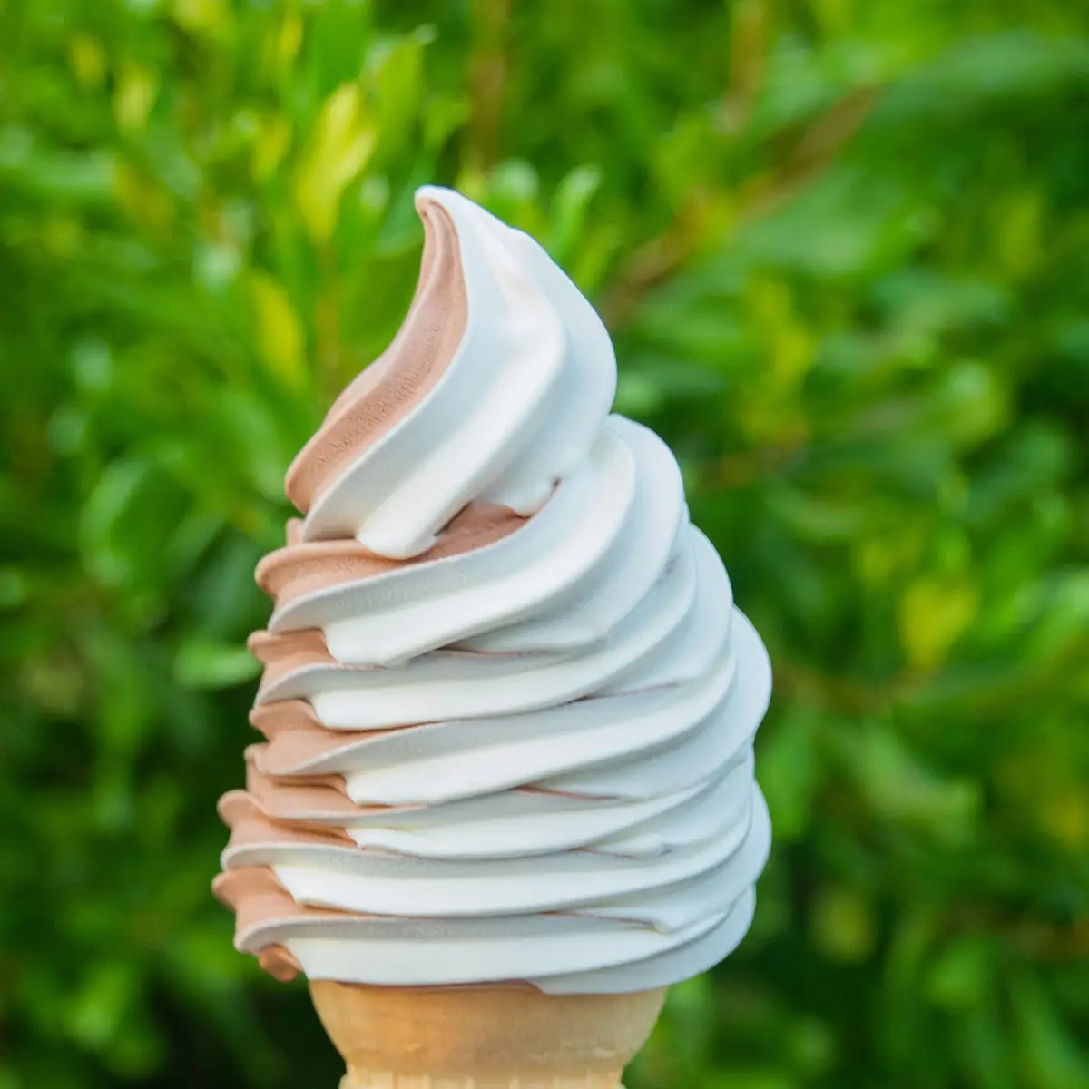 Large - Soft Serve