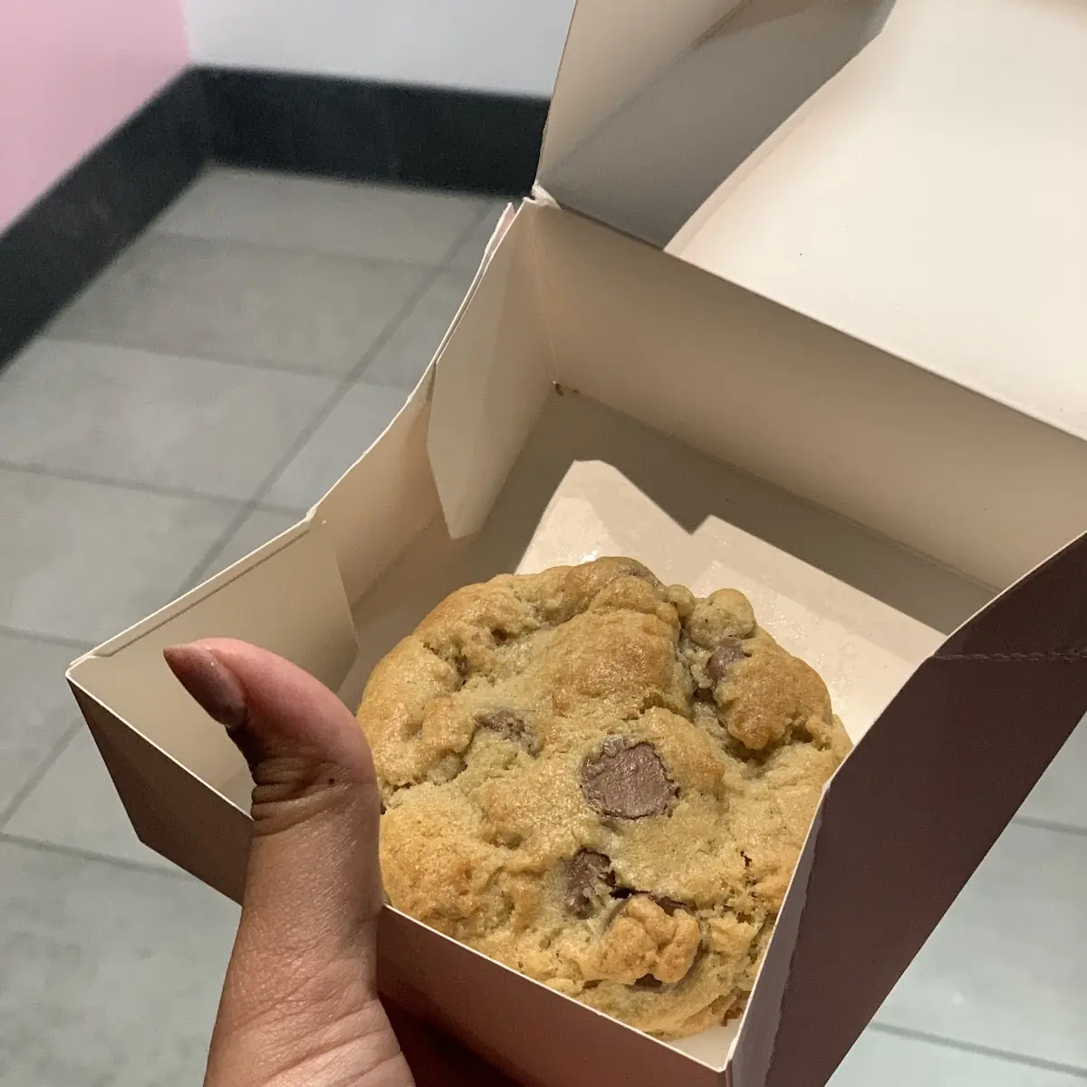 Chocolate Chip Cookie