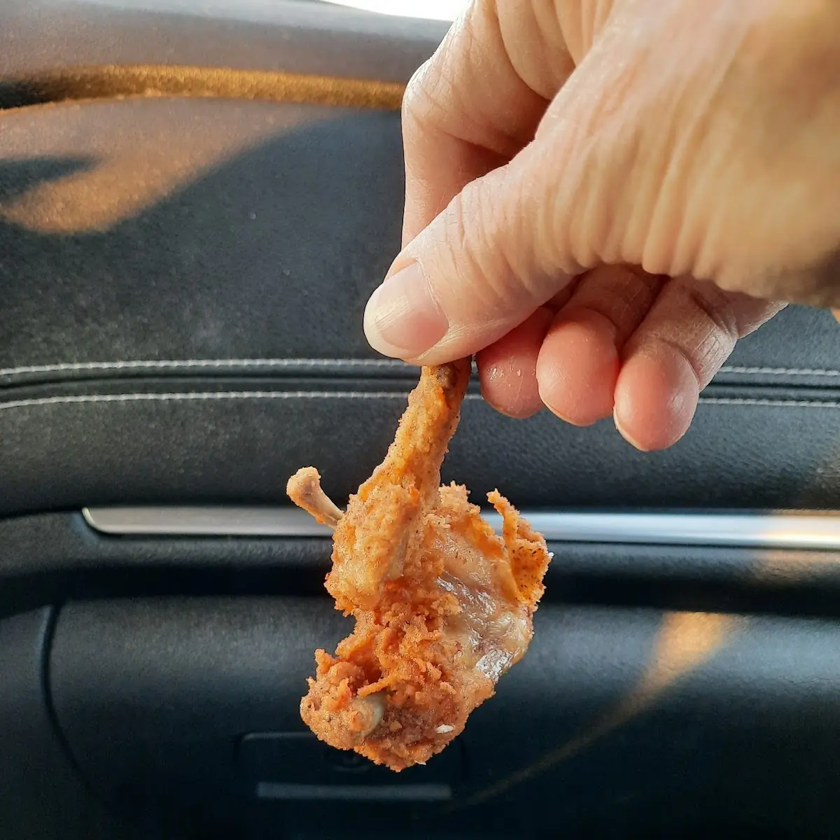Fried Chicken Leg