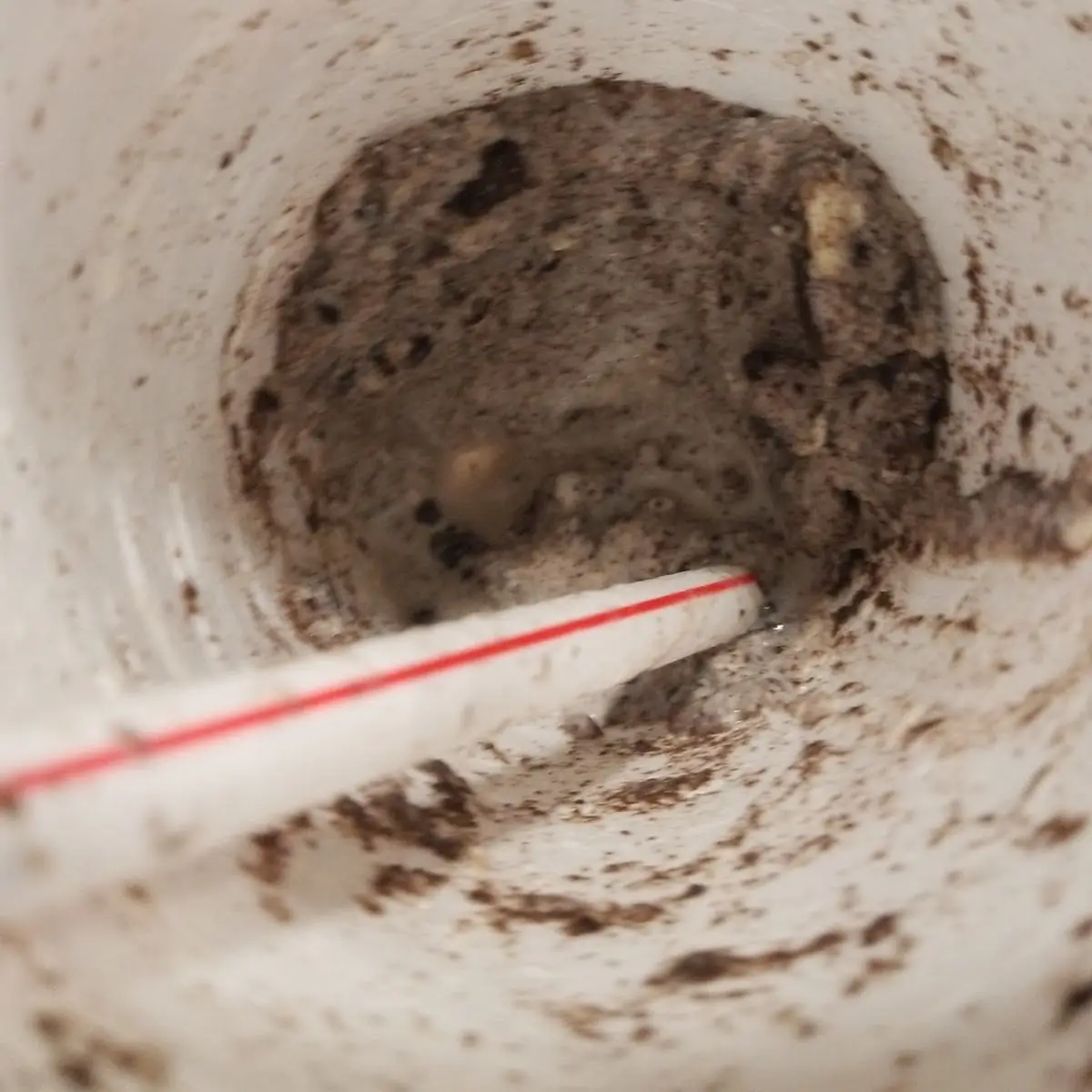 Oreo Shake