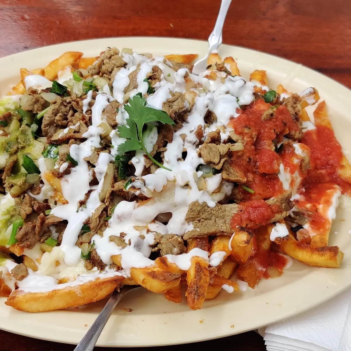 Carne Asada Fries