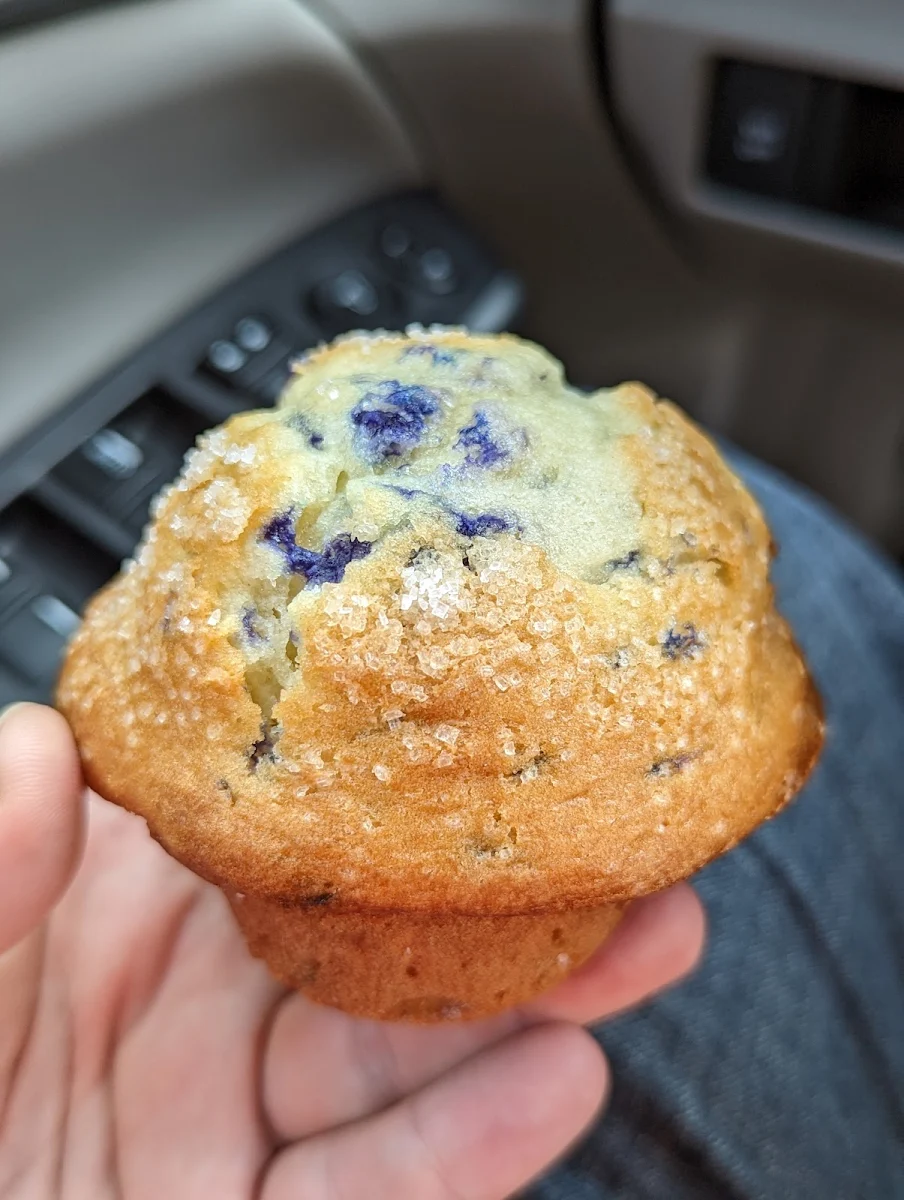 Blueberry Muffin