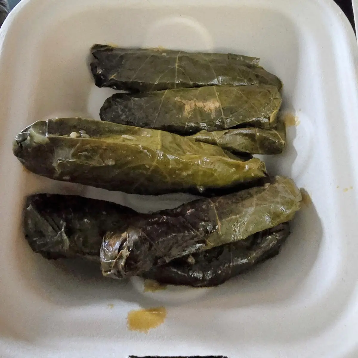 Grape Leaves Vegan
