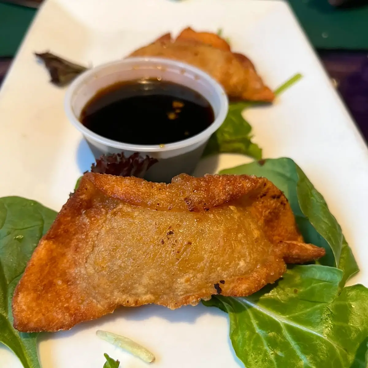 Pork Dumplings