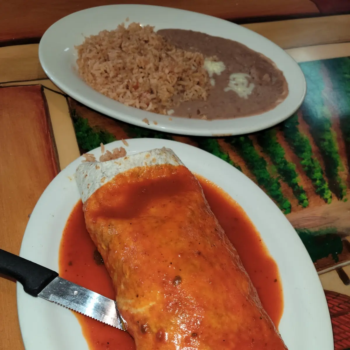 Burrito Mojado