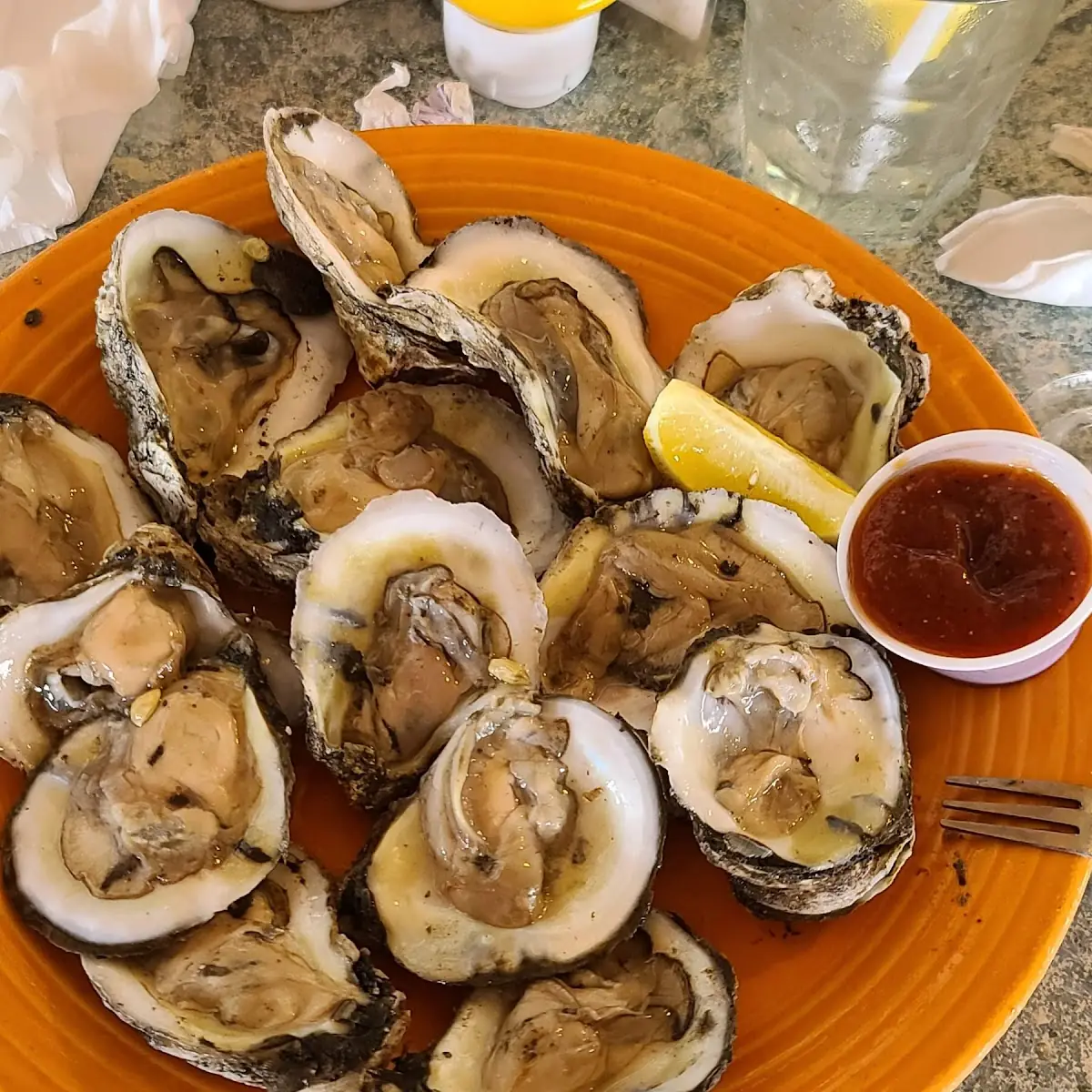 Oysters on the Half Shell and Conk Sashimi