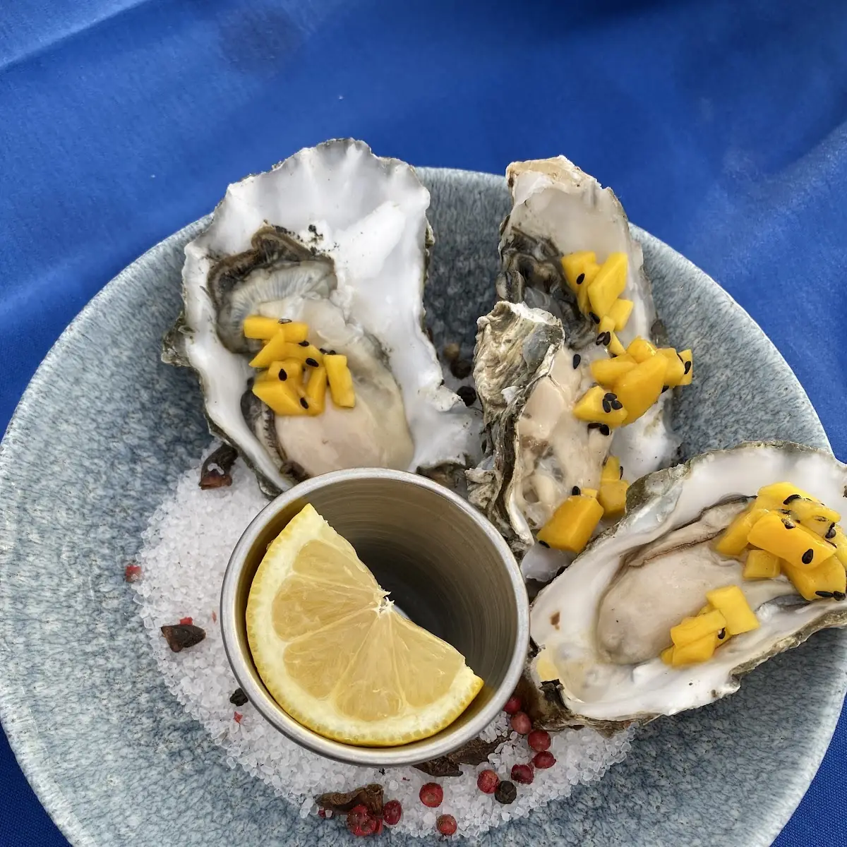 Oysters on the Half Shell