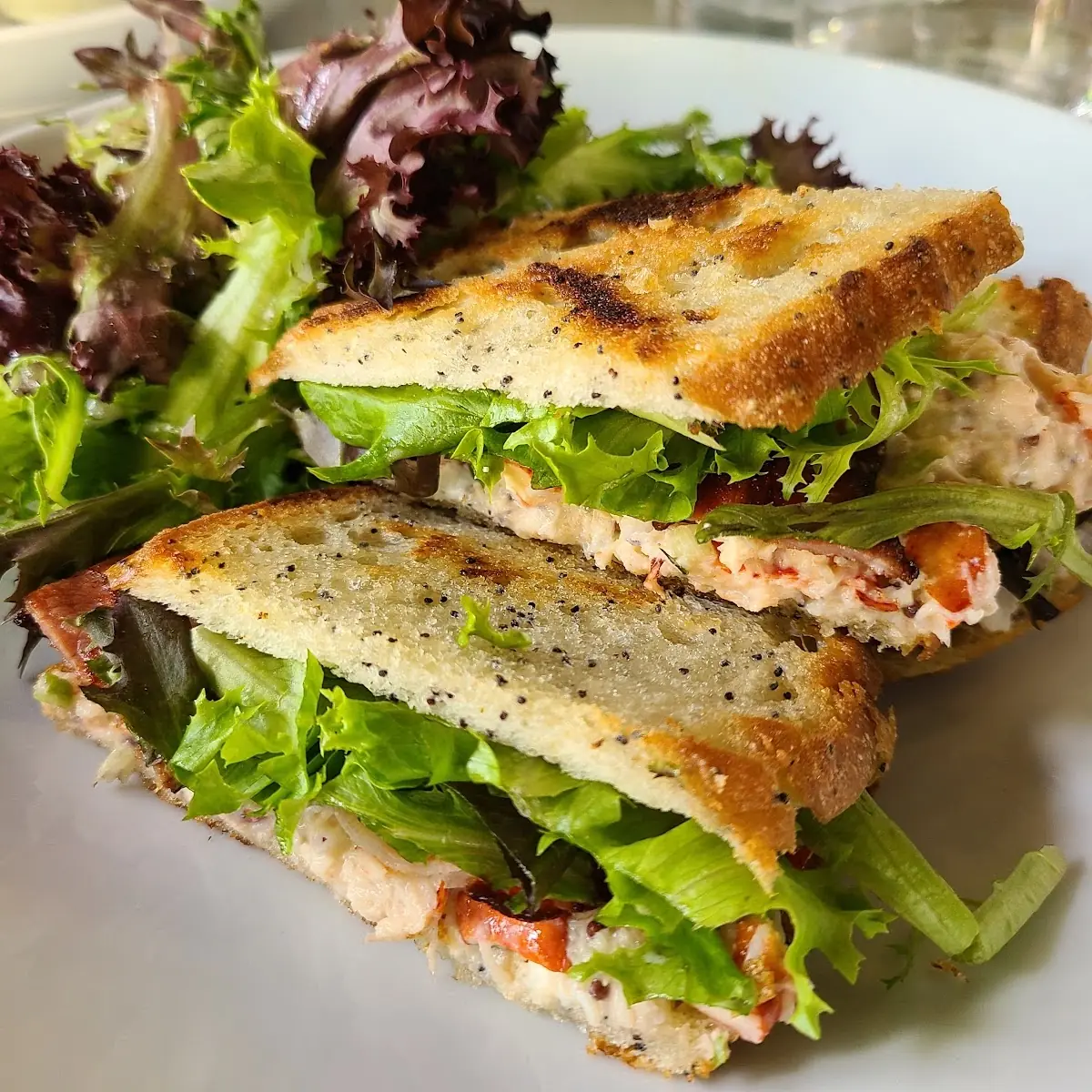 Lobster Club Sandwich, Treadwell Cuisine