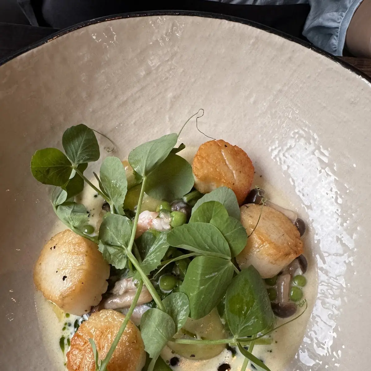 Scallops and Pork Belly, Treadwell Cuisine