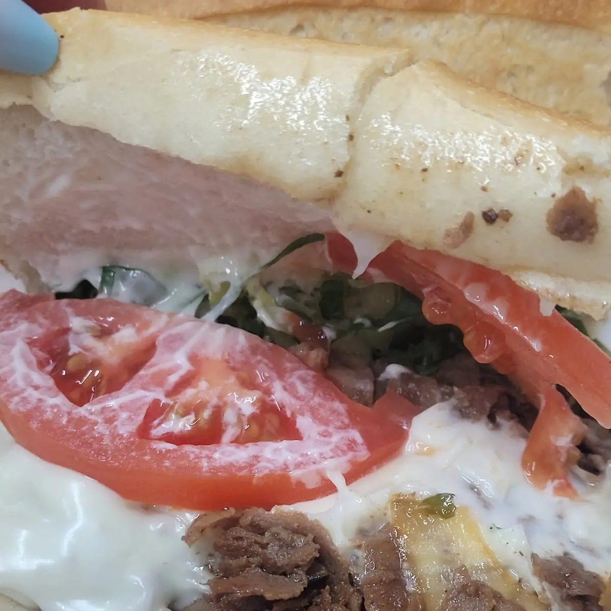 Sal's Special Steak Sandwich