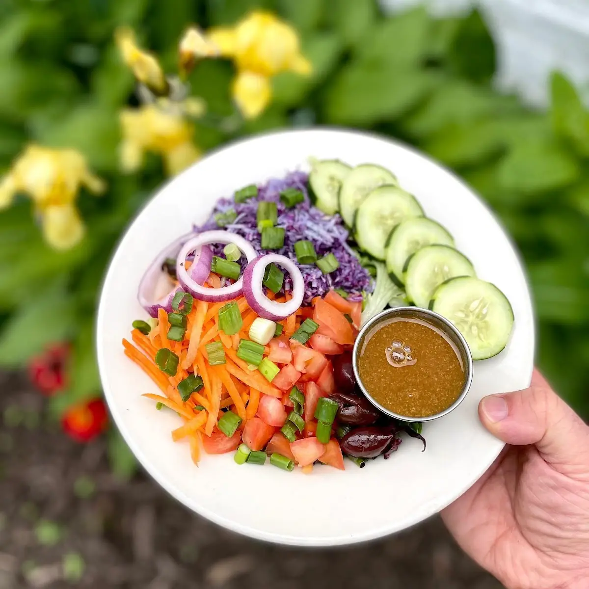 Rainbow Garden Salad