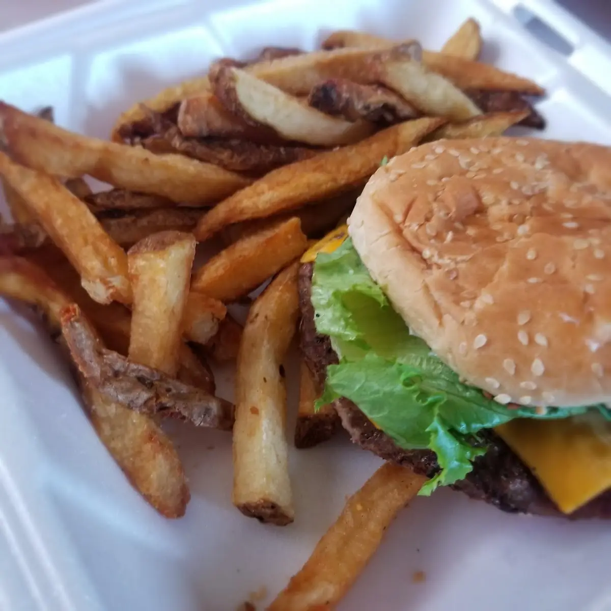 The Special Cheeseburger Combo