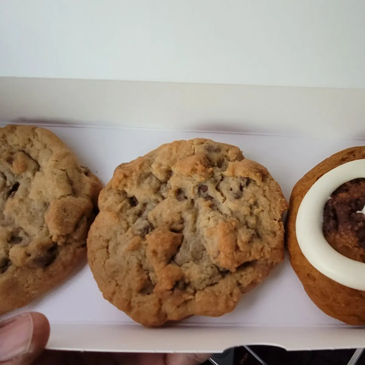 Milk Chocolate Chip and Pumpkin Roll