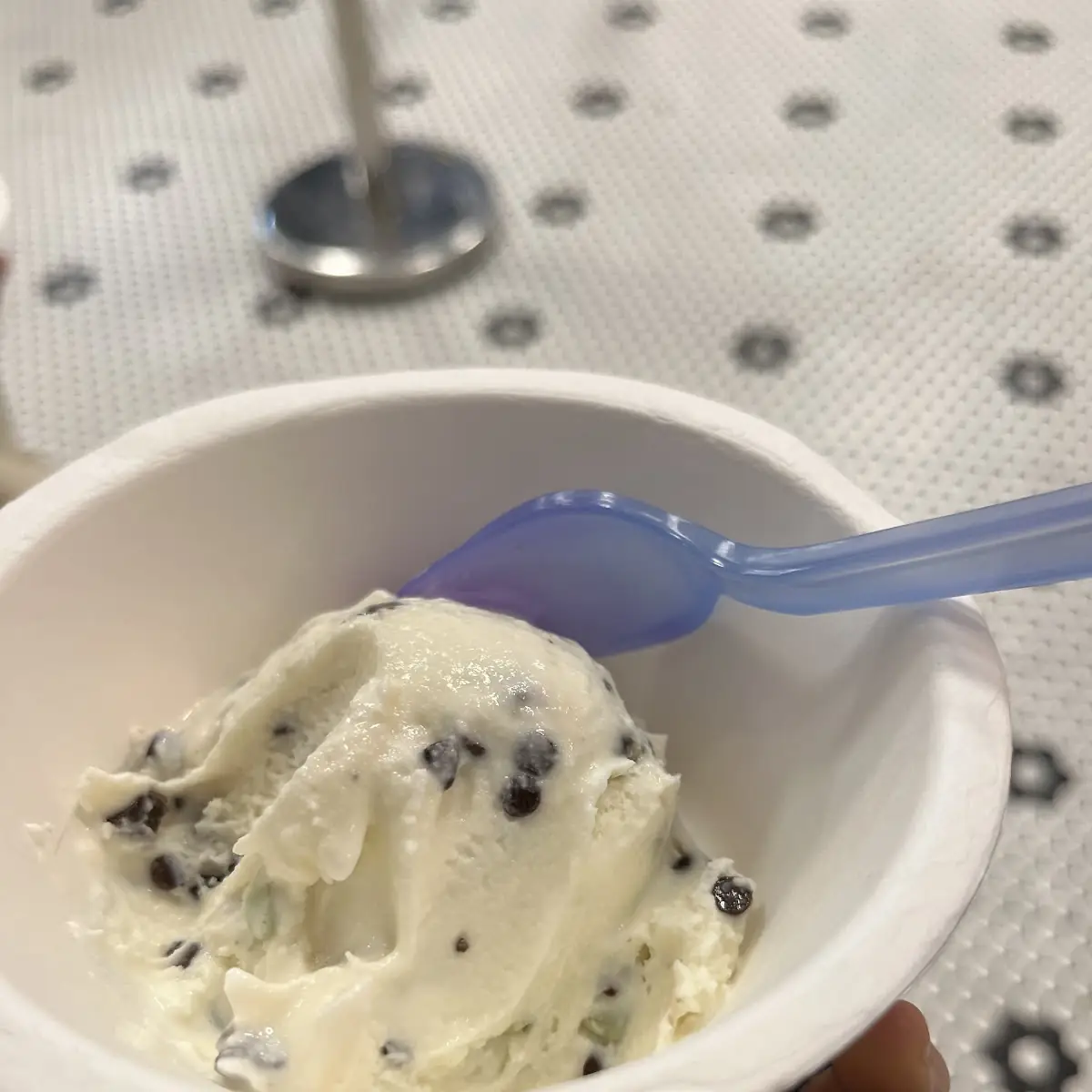 Chocolate Chip Ice Cream