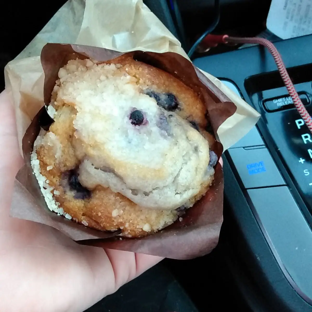 Blueberry Muffin