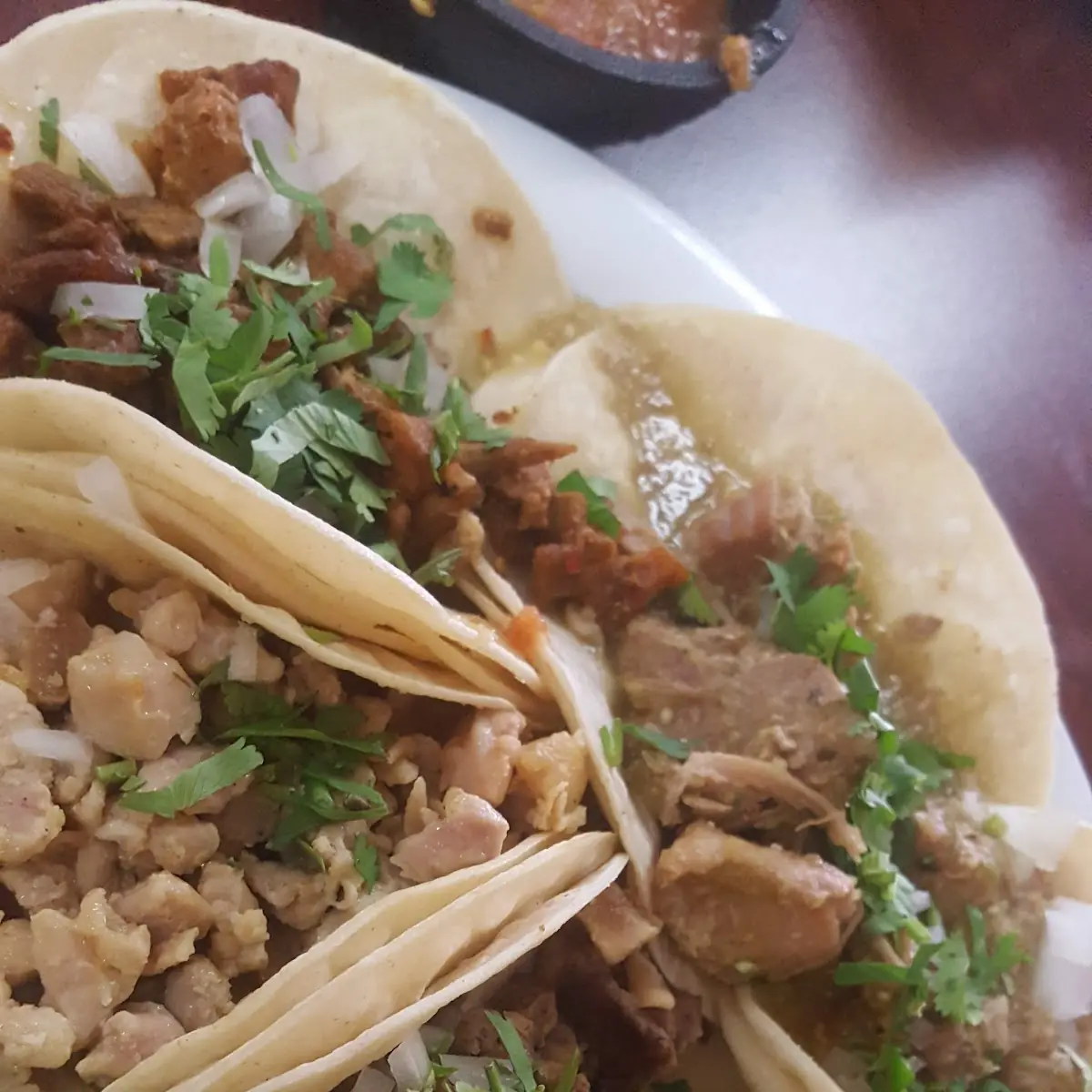 Tacos de Carnitas