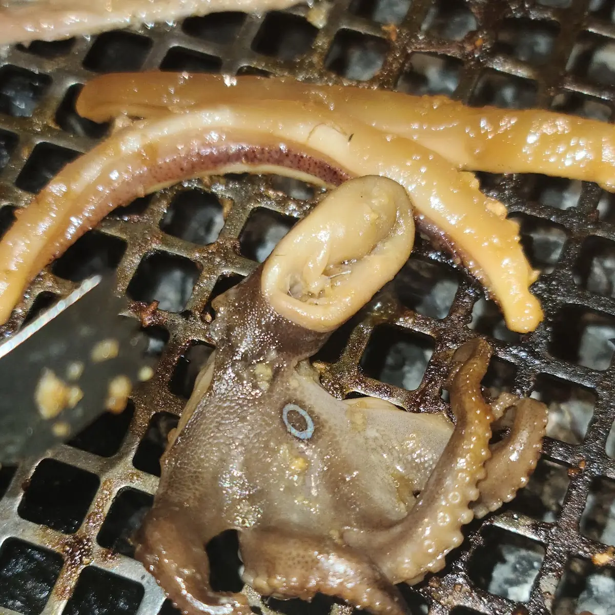 Grilled Octopus