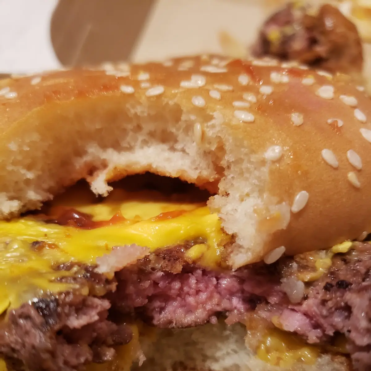 Burger Patty