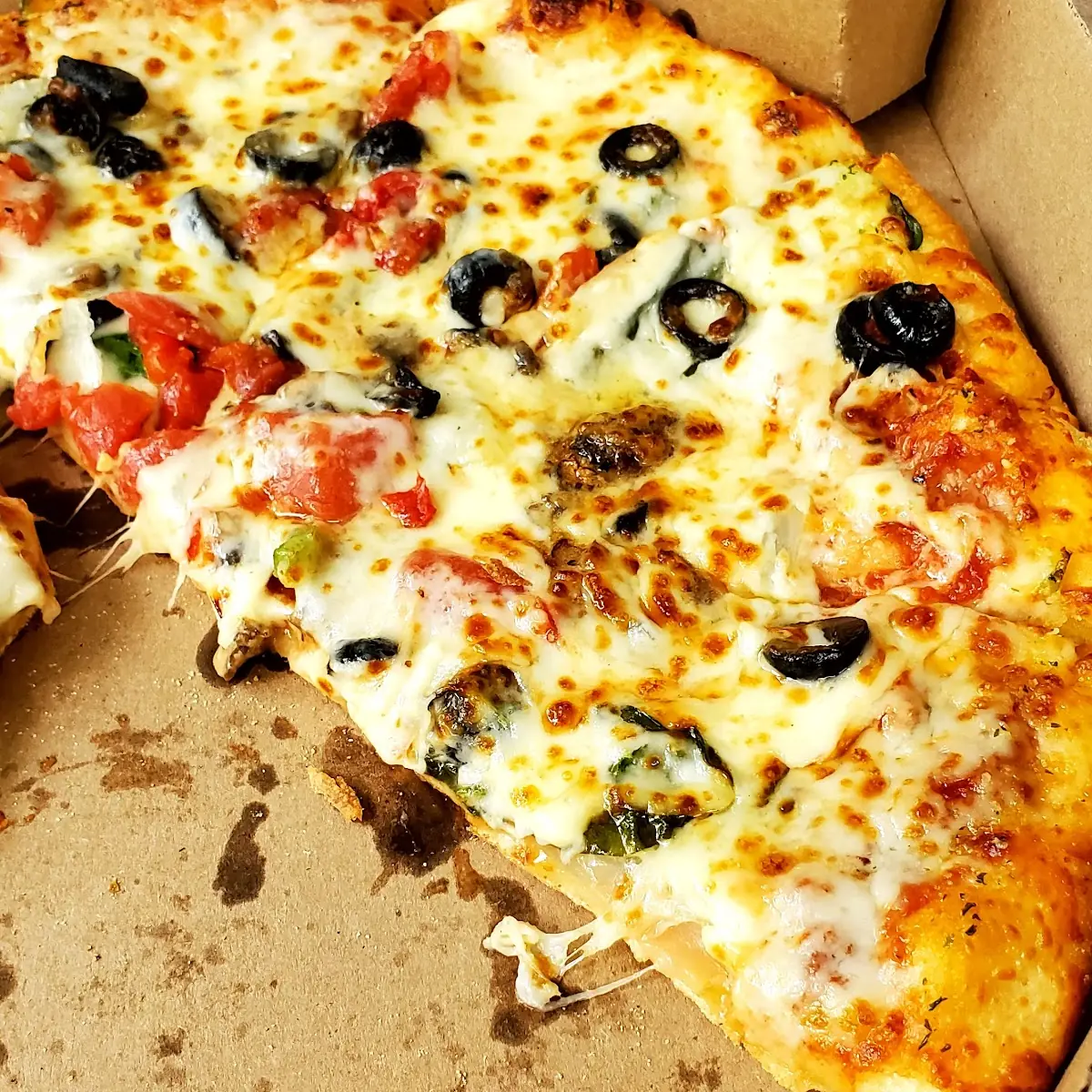 Extra Cheese Pizza Mushroom and Red Pepper
