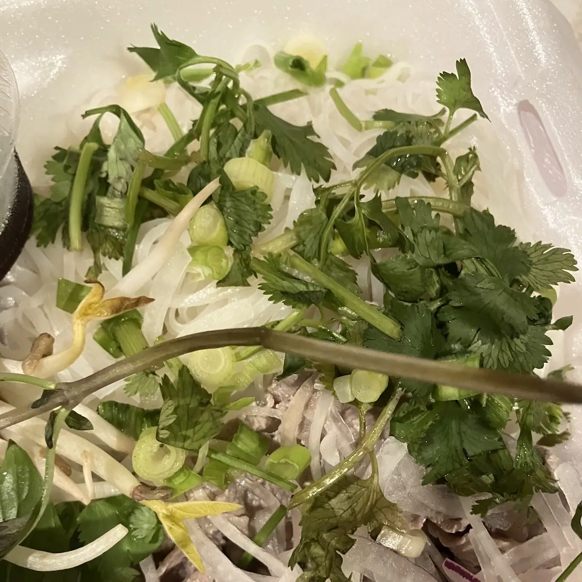 Burrito Bowl
