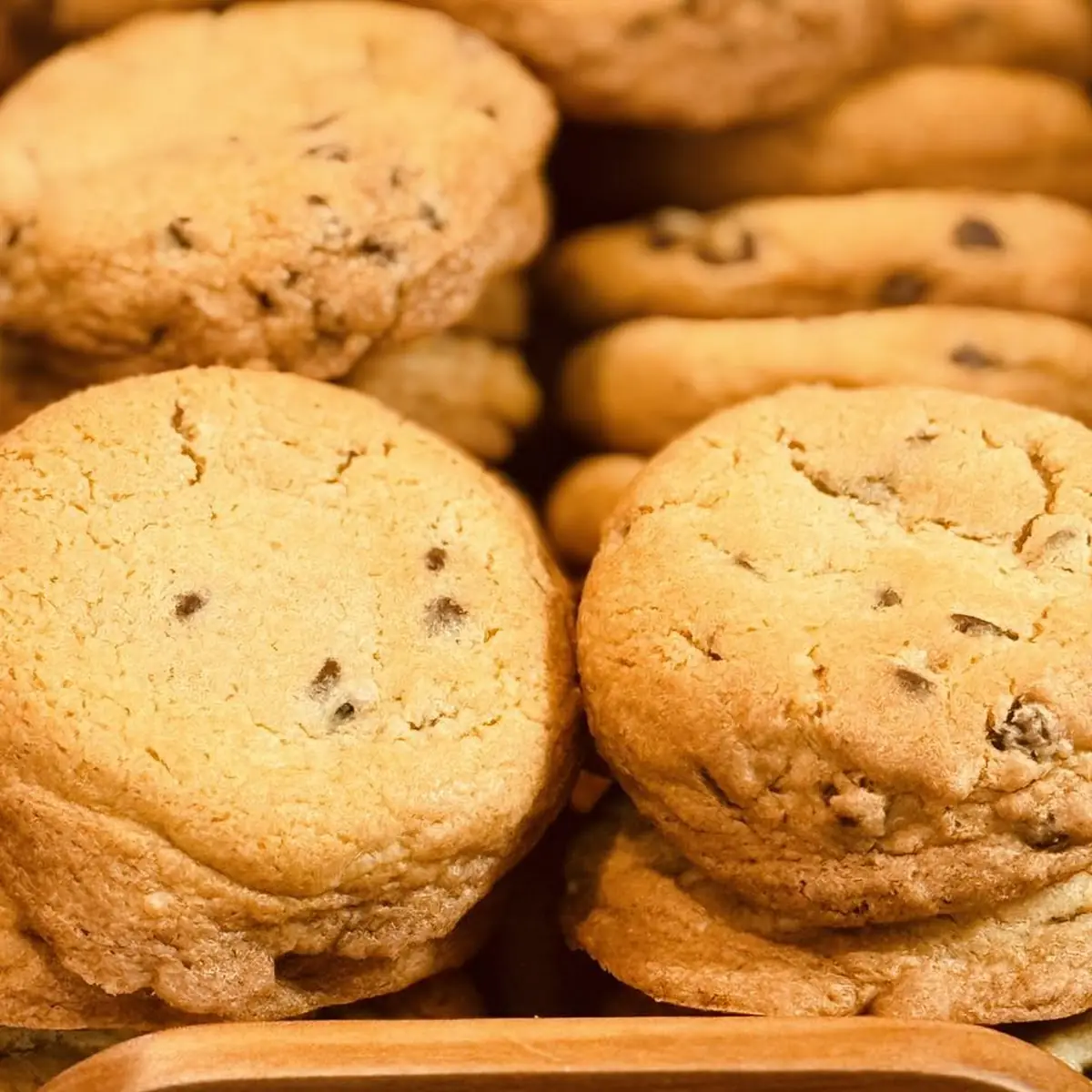 Chocolate Chip Cookie